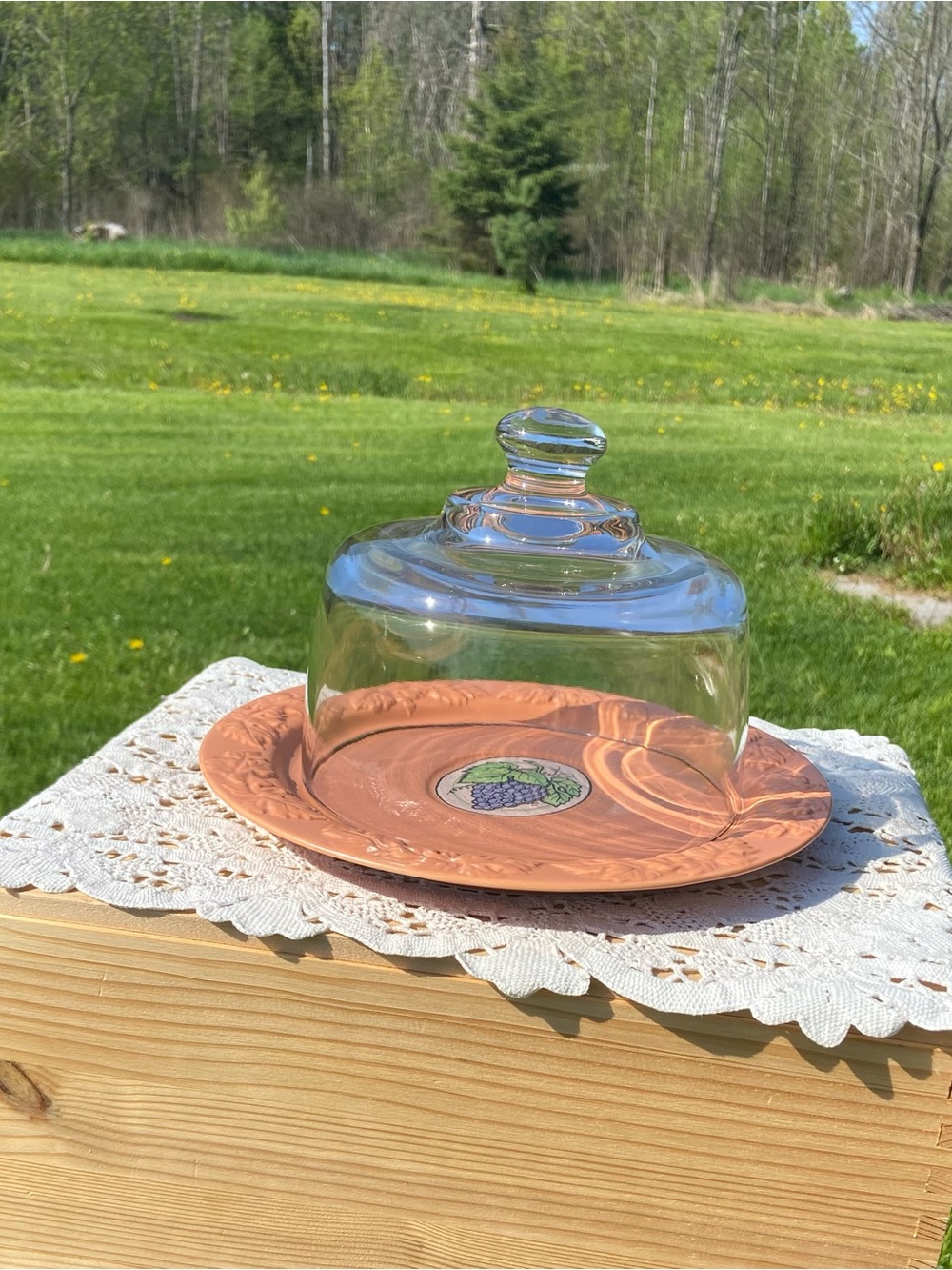 Vintage Glass Cloche Dome with Ceramic Plate Base